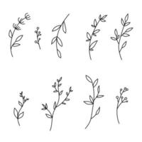 conjunto de ramas de árboles dibujadas a mano con hojas y flores sobre fondo blanco. ilustración vectorial vector