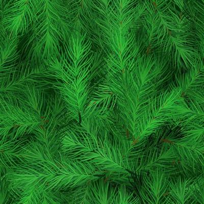 Realistic pattern of fir branches. Christmas tree, detailed pine backdrop. Symbol of Christmas and New Year seamless background for your design.