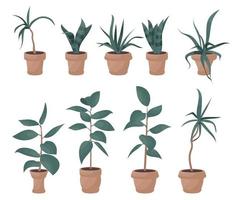 House plants in pots, office flowers, cartoon tropic leaves. Green icon set of palm tree, philodendron, ficus, sansevieria, succulent. Garden plant vector illustration.