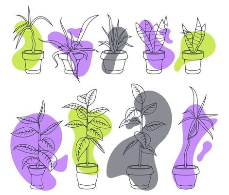 House plants in pots, office flowers, cartoon tropic leaves. Purple outline icon set of palm tree, philodendron, ficus, sansevieria, succulent. Garden plant vector illustration with fluid design wave.