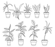 House plants in pots, office flowers, cartoon tropic leaves. Outline icon set of palm tree, philodendron, ficus, sansevieria, succulent. Garden plant vector illustration line art.