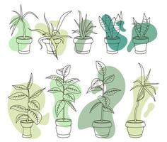 House plants in pots, office flowers, cartoon tropic leaves. Green outline icon set of palm tree, philodendron, ficus, sansevieria, succulent. Garden plant vector illustration with fluid design wave.