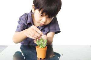 Asian lovely boy is planting small cactus isolated over white photo