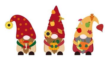 Cartoon flat fall vector gnomes in red, yellow hats with leaves, apples, forest mushrooms, orange pumpkins, ear of corn, sunflowers. Isolated on white background.