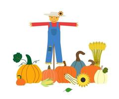 Autumn harvest vector illustration. Cartoon scarecrow in denim overalls, orange pumpkins, wheat sheaf, sunflower isolated on white background. Thanksgiving day card.