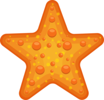 Sea starfish clipart design illustration png