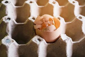 Broken eggs symbol of the bad packaging of brittle object transportation logistic concept photo