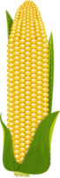 ilustração de design de clipart de milho png
