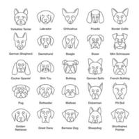 Dogs breeds linear icons set. Guide, guardian, hunting, herding dogs. Thin line contour symbols. Isolated vector outline illustrations