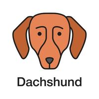 Dachshund color icon. Hotdog. Hound dog breed. Isolated vector illustration