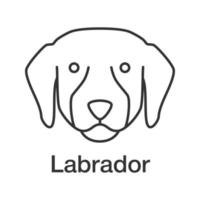 Labrador Retriever linear icon. Lab. Thin line illustration. Guide dog breed. Contour symbol. Vector isolated outline drawing