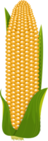 illustration de conception de clipart de maïs png