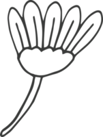 hand gezeichnete blumenclipart-designillustration png