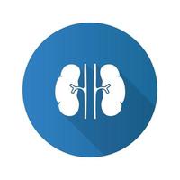Human kidneys flat design long shadow glyph icon. Urinary system. Vector silhouette illustration