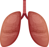 Ilustración de diseño de imágenes prediseñadas de pulmón png