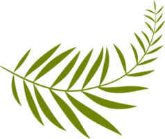 Tropical leaves clipart design illustration png