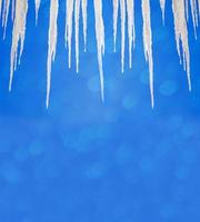 White icicles against the blue winter sky. photo