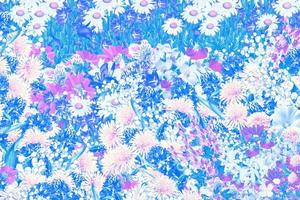 Abstract floral background photo