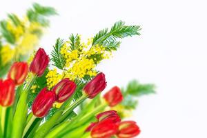 flores de primavera tulipanes foto
