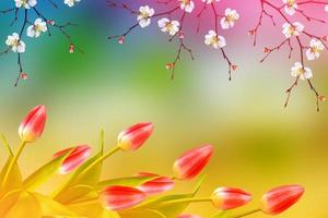 Bright colorful spring flowers photo