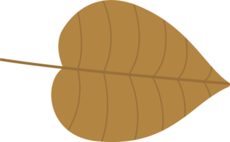 Tropical leaves clipart design illustration png