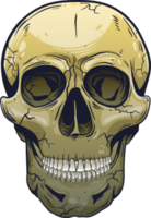 Skull clipart design illustration png