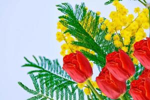 floral background with mimosa and tulips flowers photo