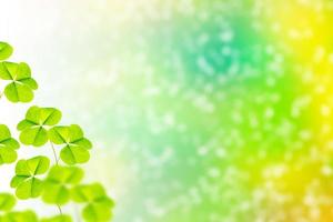 Green clover leaves on a background summer landscape. St.Patrick 's Day photo