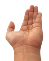 hand on transparent background png file