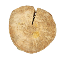 tree trunk cross section, A cutting board made of cross-sectional wood. png