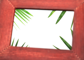 tropical nature green palm leaf in picture frame on transparent background png file