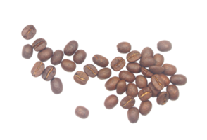 coffee beans isolated on transparent background png file