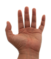 hand op transparante achtergrond png-bestand png