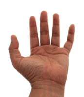 mano sul file png di sfondo trasparente