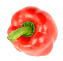 red bell pepper on transparent background png file