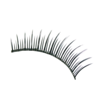 false eyelashes on transparent background png file