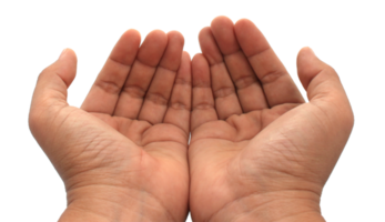 hand on transparent background png file