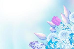 Floral background with bright spring flowers. photo