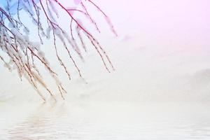 Frozen winter forest with snow covered trees. photo
