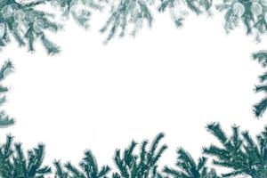 árbol de navidad en la nieve aislado en un fondo blanco. tarjeta de felicitación. foto