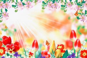 rama floreciente manzana, tulipanes. flores de primavera de colores brillantes foto