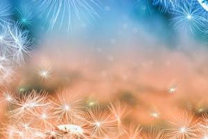 Fluffy dandelion flower against the background of the summer landscape. photo