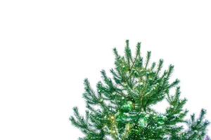 Christmas tree isolated on white background. Spruce. photo