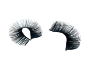 false eyelashes isolated on transparent background png file