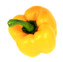 pimiento amarillo sobre fondo transparente archivo png