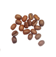 coffee beans isolated on transparent background png file