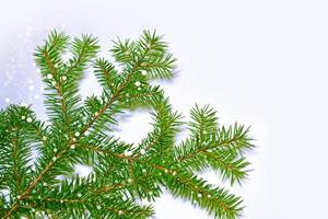 las ramas del árbol cubierto de nieve foto