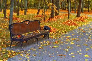 banco individual en el parque de otoño. árboles de colores brillantes. foto