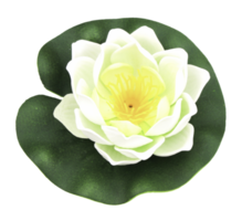Lotus flower isolated on white png file