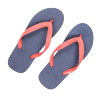 chaussons de plage sur fond transparent fichier png